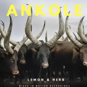 Lemon - Ankole ft. Herb